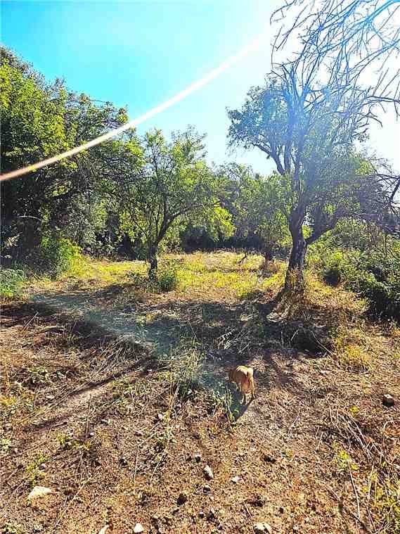 terreno edificabile in vendita a Noto in zona Madonna Marina