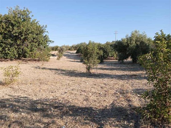 terreno edificabile in vendita a Noto in zona San Paolo