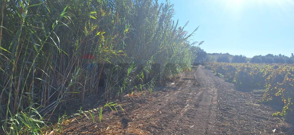casa indipendente in vendita a Noto