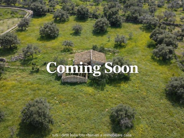 terreno agricolo in vendita a Noto