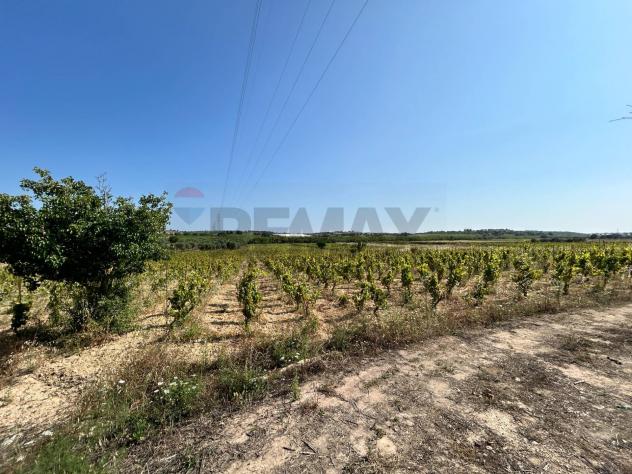 terreno agricolo in vendita a Noto