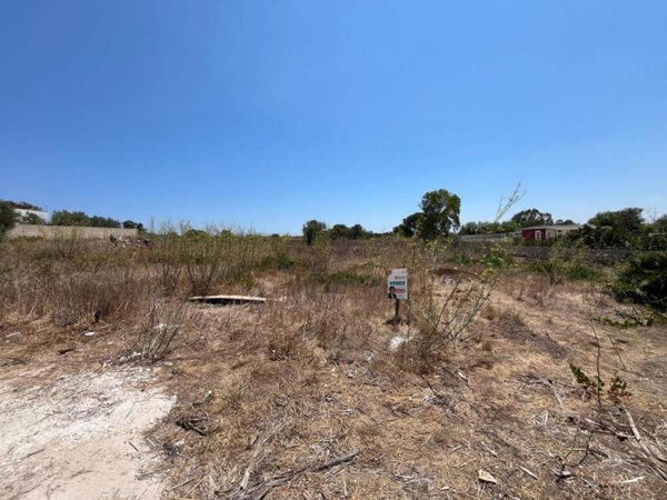 terreno agricolo in vendita a Noto in zona San Lorenzo