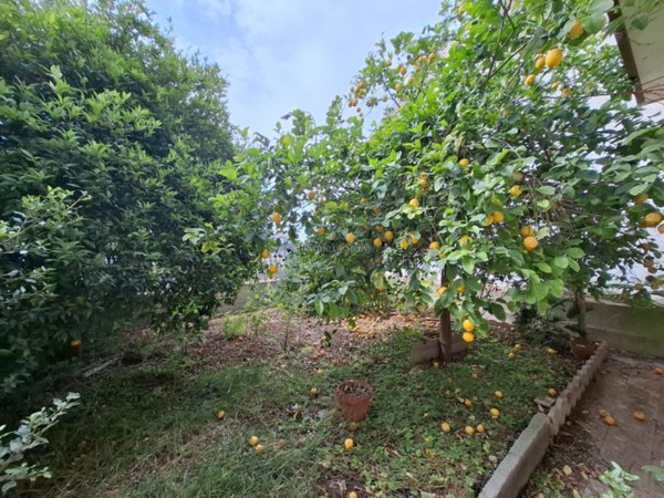 casa indipendente in vendita a Noto