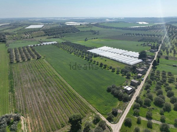 casa indipendente in vendita a Noto