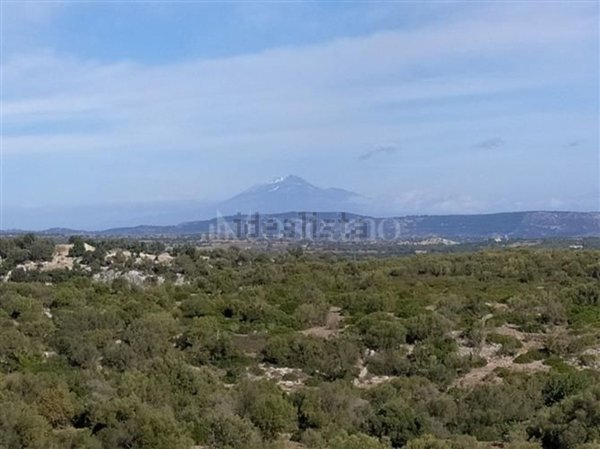 terreno agricolo in vendita a Noto