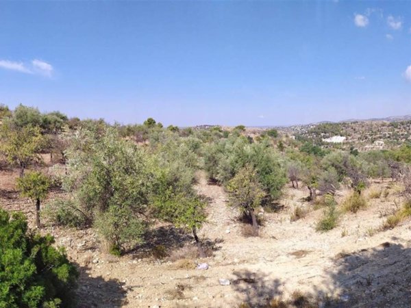 terreno agricolo in vendita a Noto in zona San Paolo