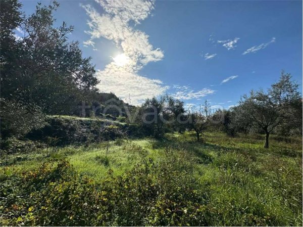 terreno agricolo in vendita a Noto