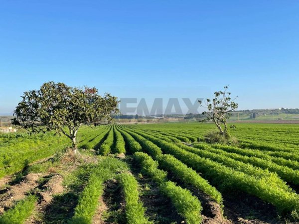terreno edificabile in vendita a Noto