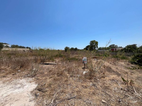terreno agricolo in vendita a Noto in zona San Lorenzo
