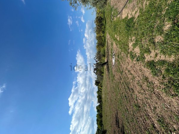 terreno agricolo in vendita a Noto