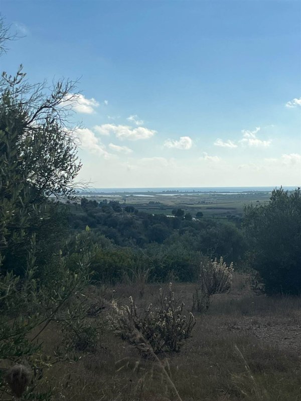 terreno agricolo in vendita a Noto