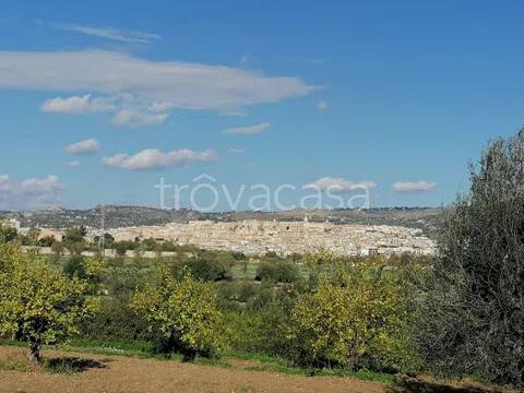 terreno agricolo in vendita a Noto