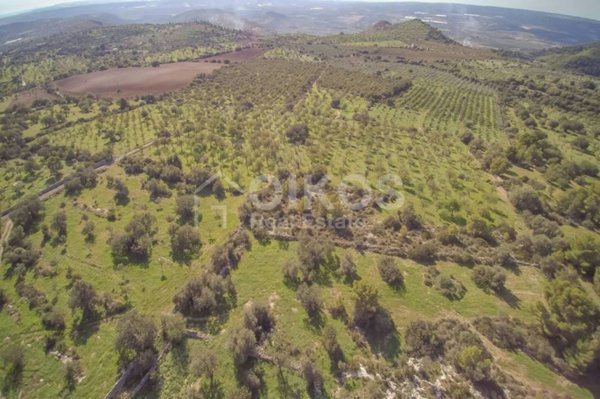 casa indipendente in vendita a Noto in zona Vendicari