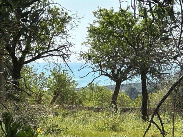 terreno agricolo in vendita a Noto