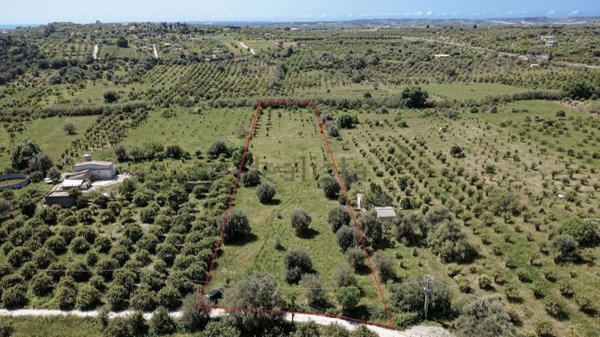 terreno agricolo in vendita a Noto