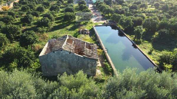 terreno agricolo in vendita a Noto