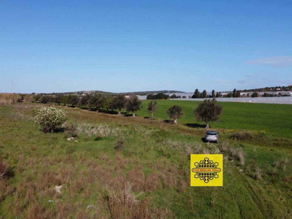 terreno agricolo in vendita a Noto