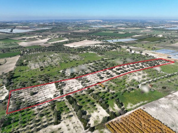 casa indipendente in vendita a Noto in zona Vendicari