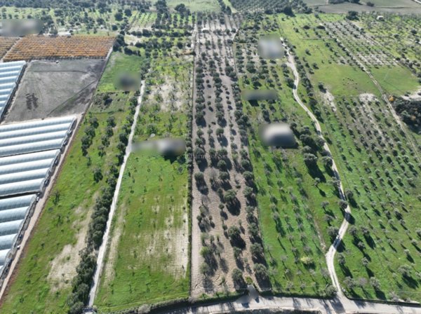 casa indipendente in vendita a Noto in zona Vendicari