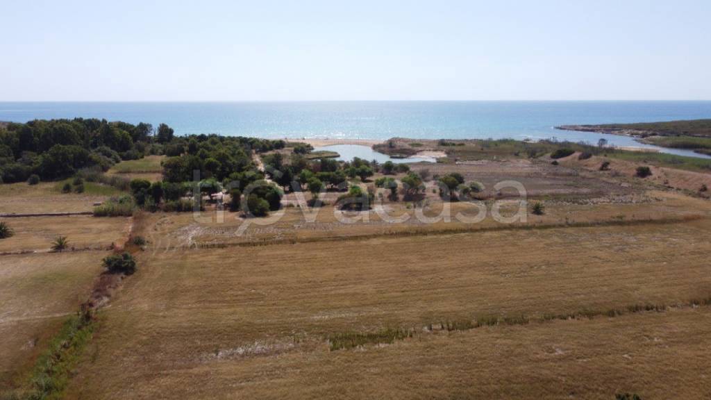 terreno agricolo in vendita a Noto in zona Vendicari