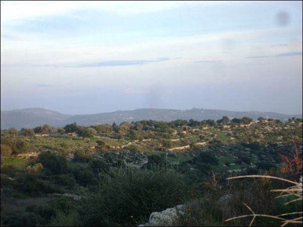 terreno agricolo in vendita a Noto