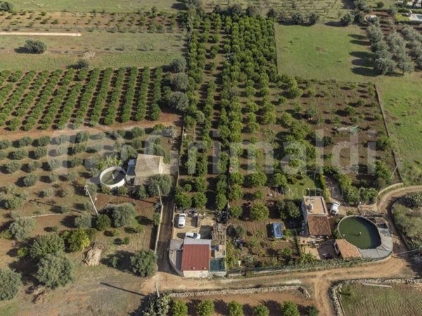 terreno agricolo in vendita a Noto in zona Falconara