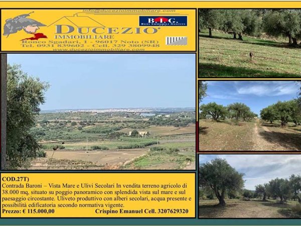 negozio in vendita a Noto