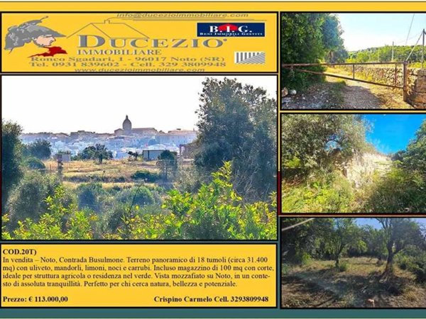 negozio in vendita a Noto