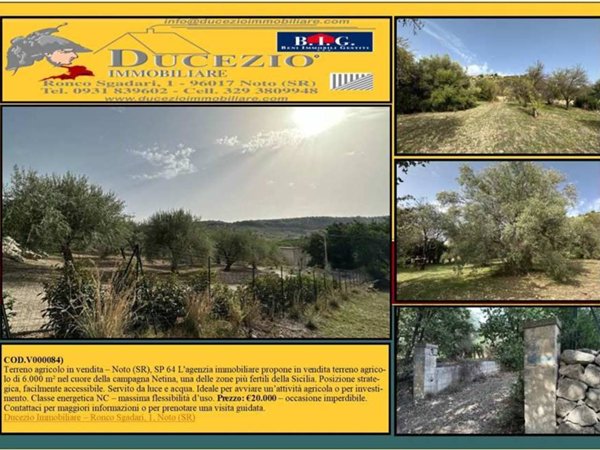 negozio in vendita a Noto