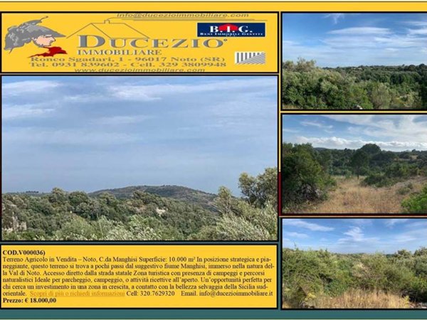 negozio in vendita a Noto