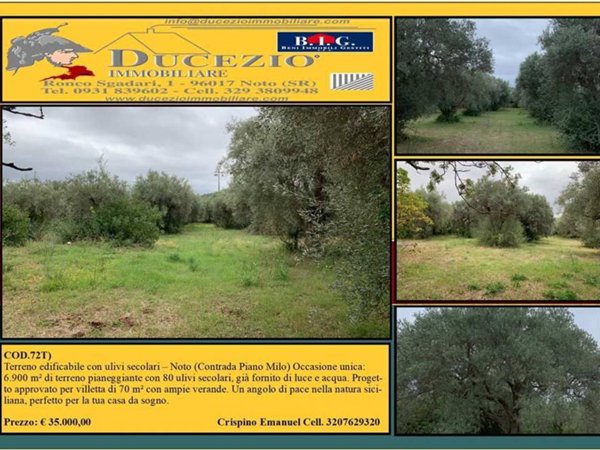 negozio in vendita a Noto