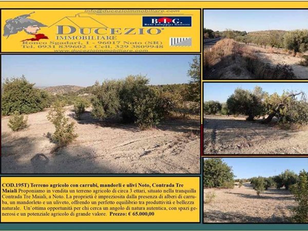 negozio in vendita a Noto