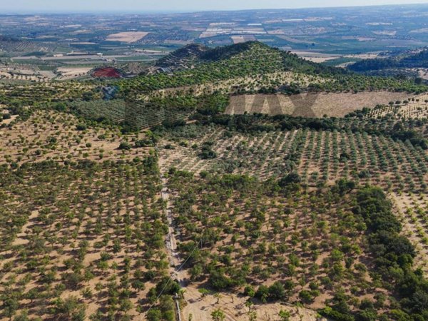 casale in vendita a Noto