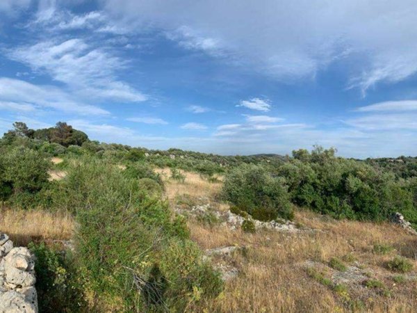 terreno agricolo in vendita a Noto