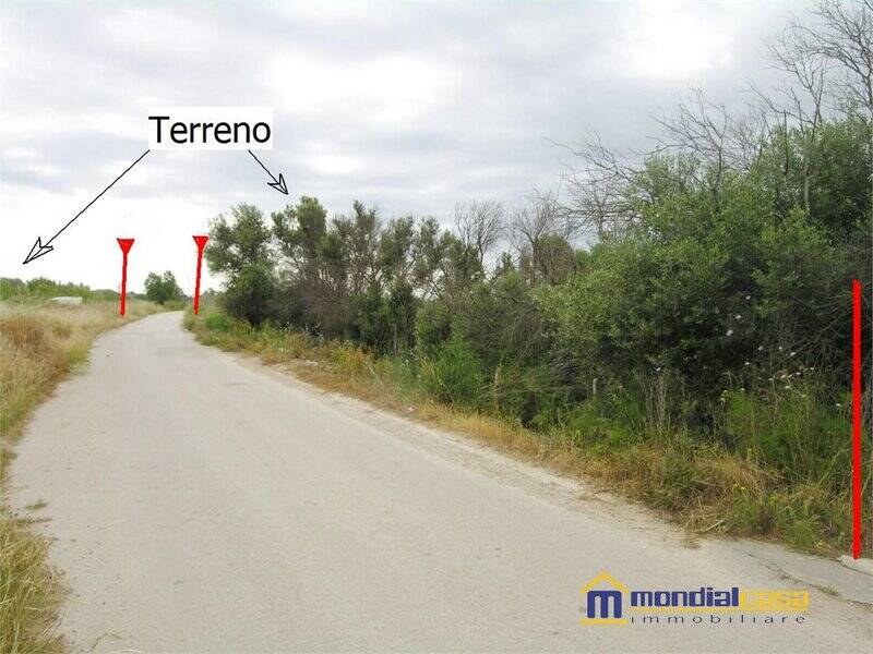 terreno agricolo in vendita a Noto