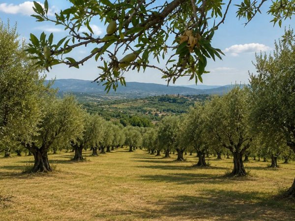 negozio in vendita a Noto in zona Lido di Noto