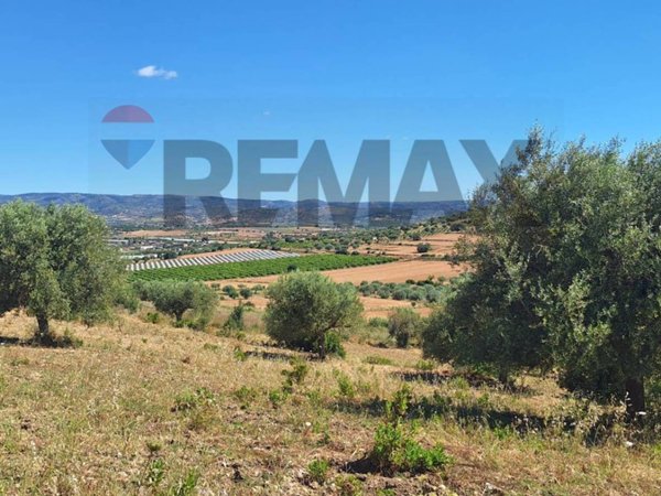terreno agricolo in vendita a Noto