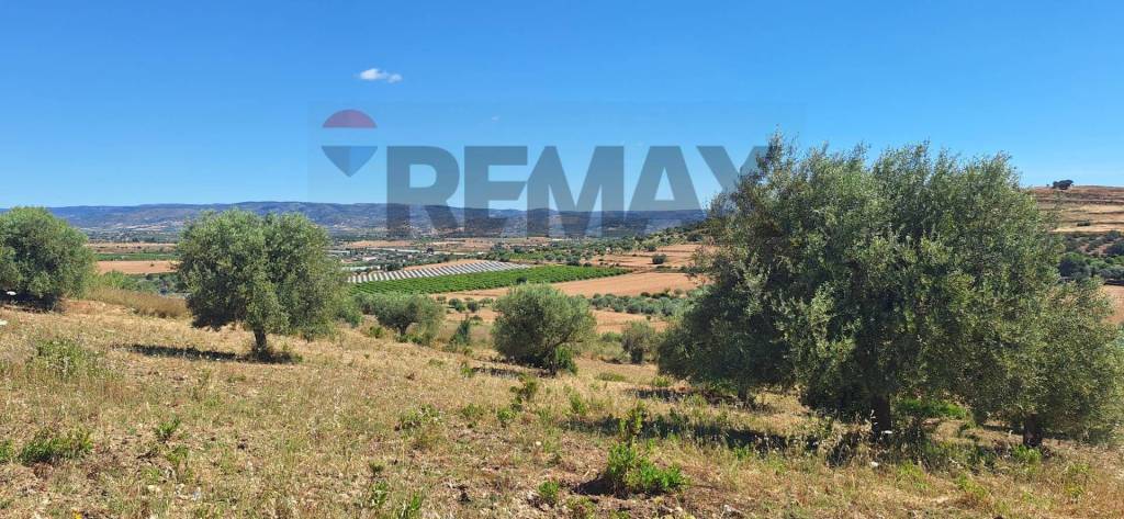 terreno agricolo in vendita a Noto