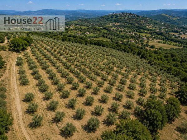 casa indipendente in vendita a Noto