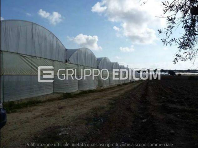 terreno agricolo in vendita a Noto