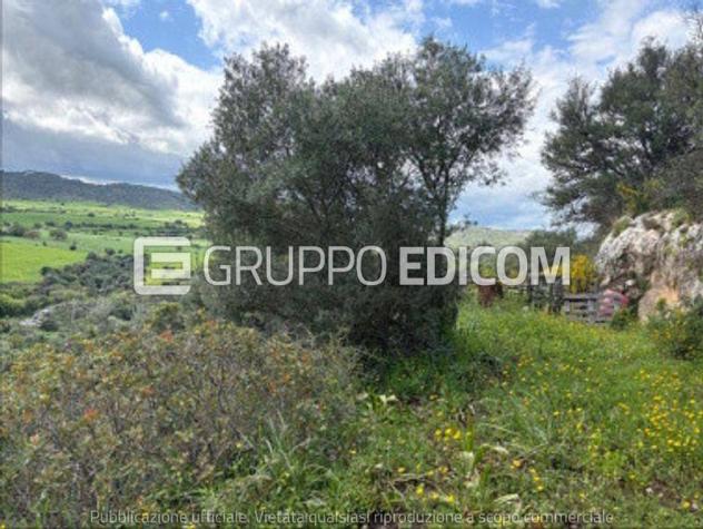 terreno agricolo in vendita a Noto