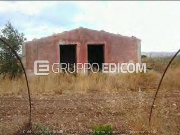 terreno agricolo in vendita a Noto