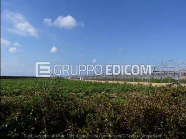 terreno agricolo in vendita a Noto