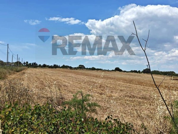 terreno edificabile in vendita a Noto in zona Reitani