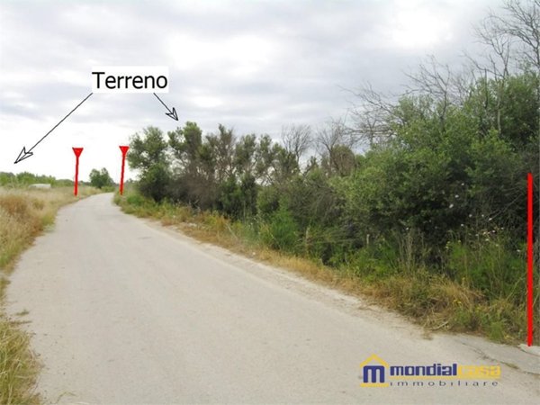 terreno agricolo in vendita a Noto