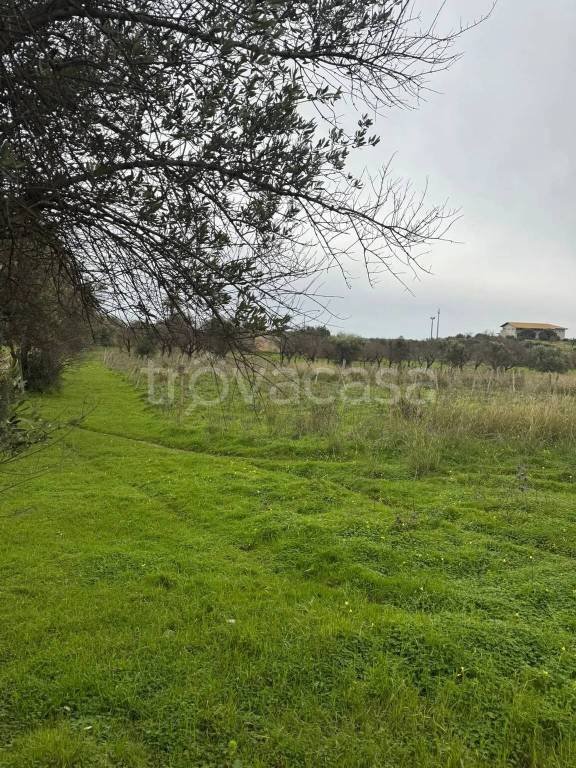 terreno agricolo in vendita a Noto in zona Vendicari