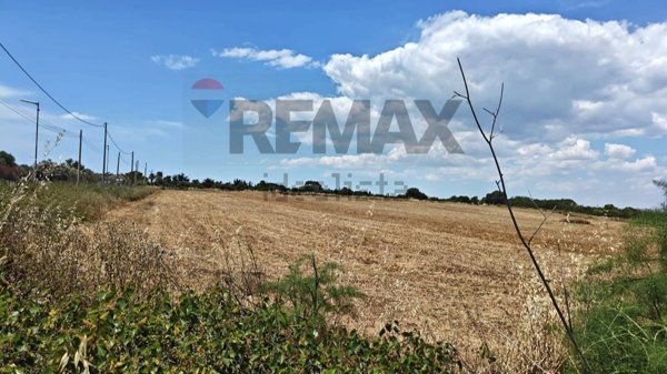 terreno agricolo in vendita a Noto in zona San Lorenzo