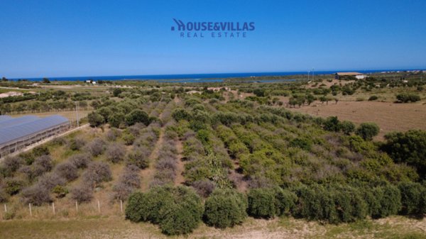 terreno agricolo in vendita a Noto in zona San Lorenzo