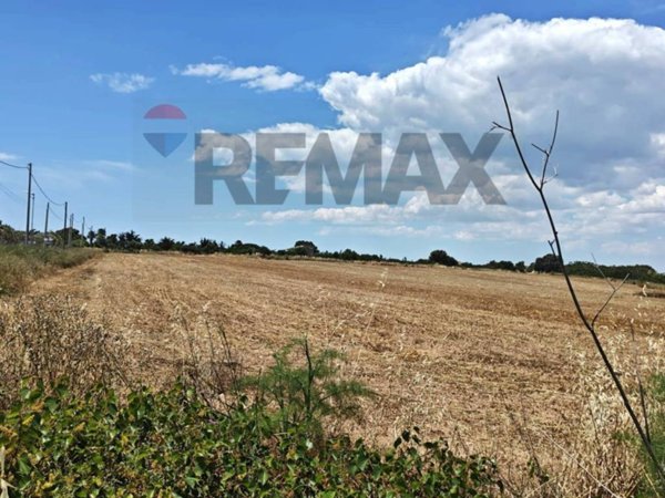 terreno agricolo in vendita a Noto in zona Fondo Morte