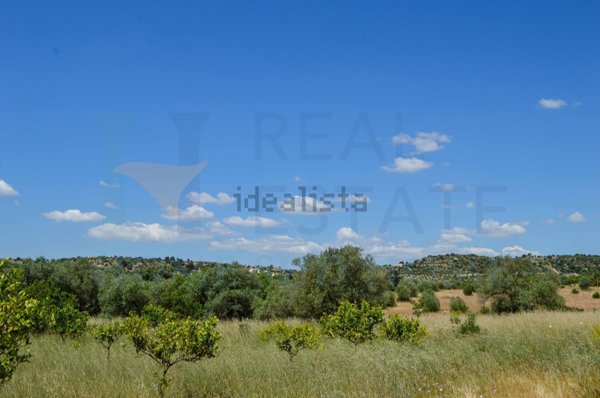 terreno agricolo in vendita a Noto